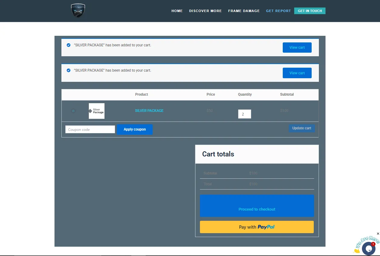 Checkout and cart page of GetVinInfo automotive VIN report website with PayPal integration